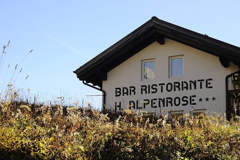 Hotel Alpenrose Passo Rolle Extérieur photo